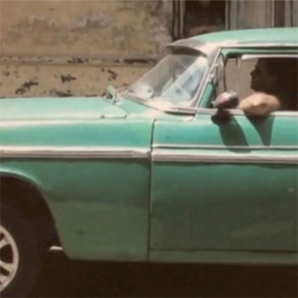 A SUNNY PLACE FOR SHADY PEOPLE!