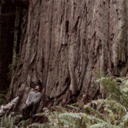 SEARCHING FOR SOLITUDE