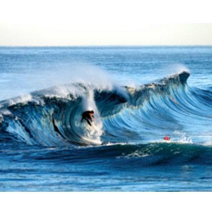 SOUTHERN HEMISPHERE OPENS FOR BUSINESS!