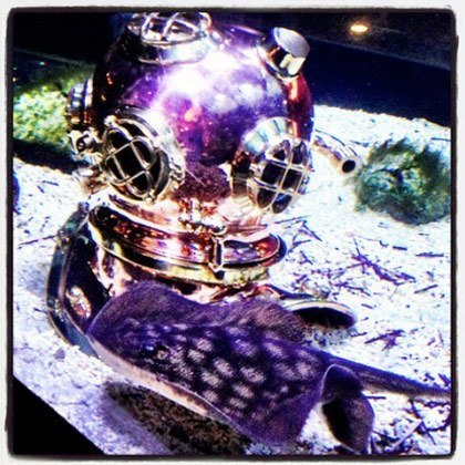 WHISKEY-LACED WET WEDNESDAY!