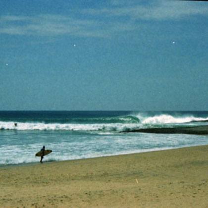 SEARCHING FOR ROARK IN SRI LANKA