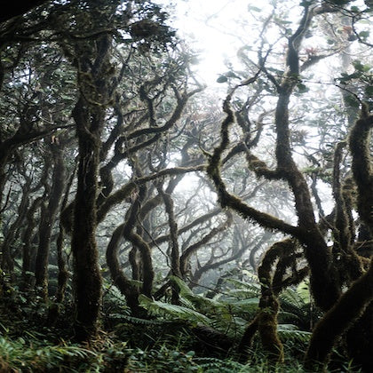 #TRIPLONGER WEEK 2 WINNER