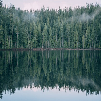 #TRIPLONGER WEEK 4 WINNER